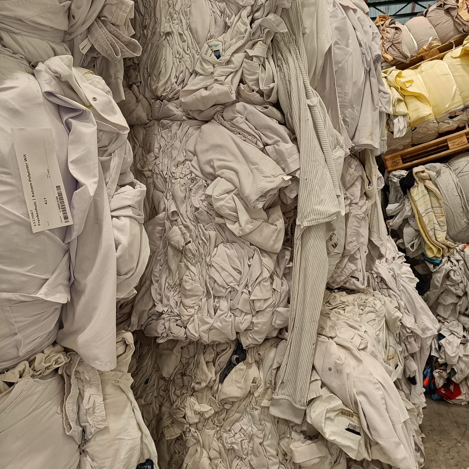 Nigam kumar Maurya Website Developer